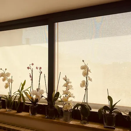 La Casa Di Dani Apartamento
